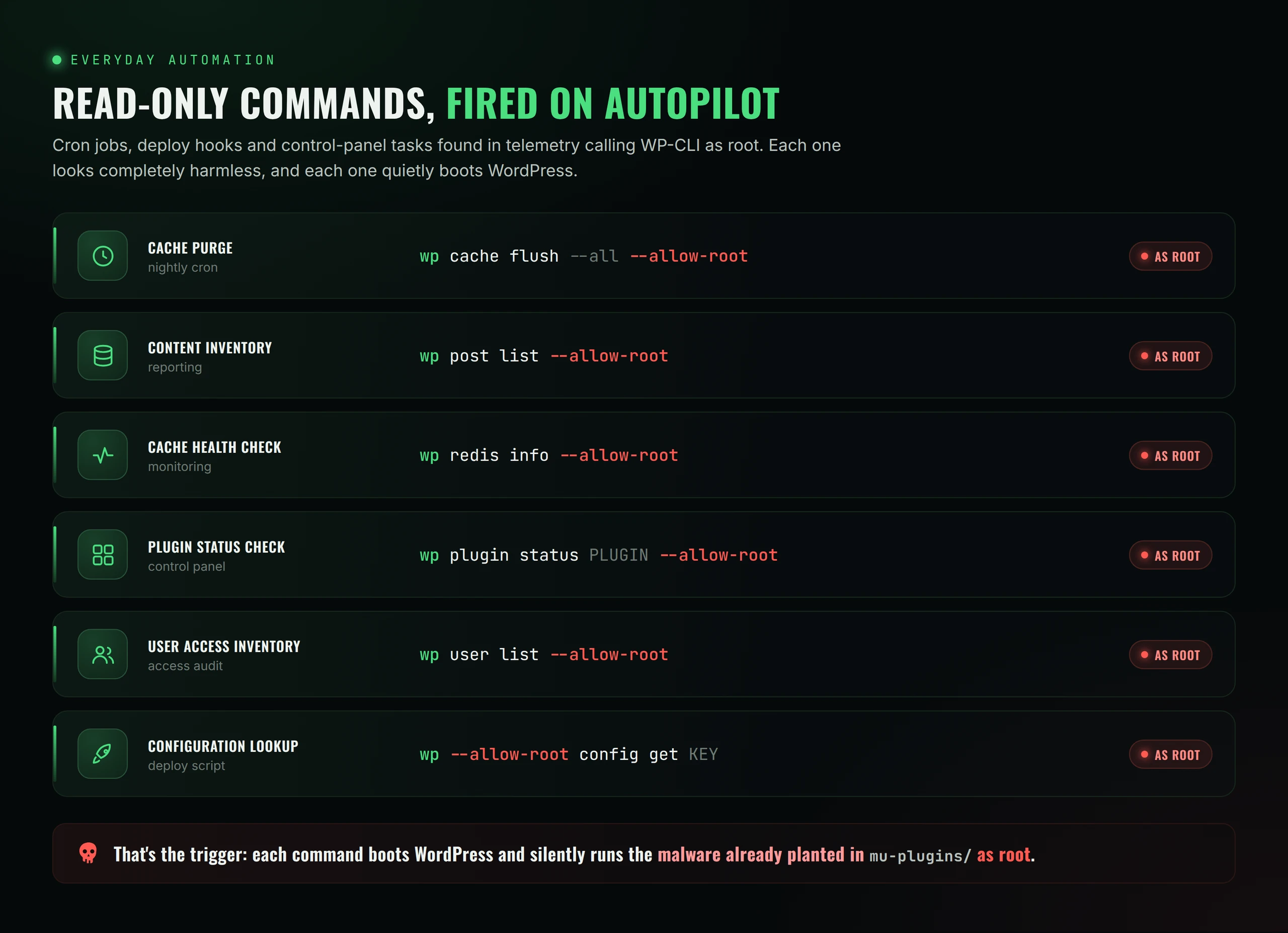 Everyday WP-CLI commands run as root with --allow-root from automation
